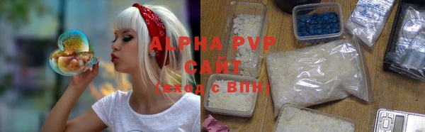 хмурый Ельня