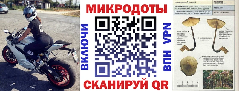Псилоцибиновые грибы мухоморы  цена наркотик  Буинск 